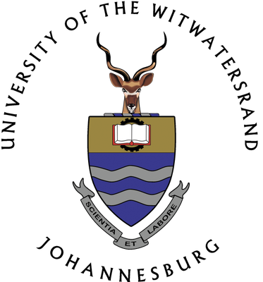 Wits Cyber